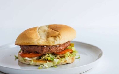 All About Sandwiches